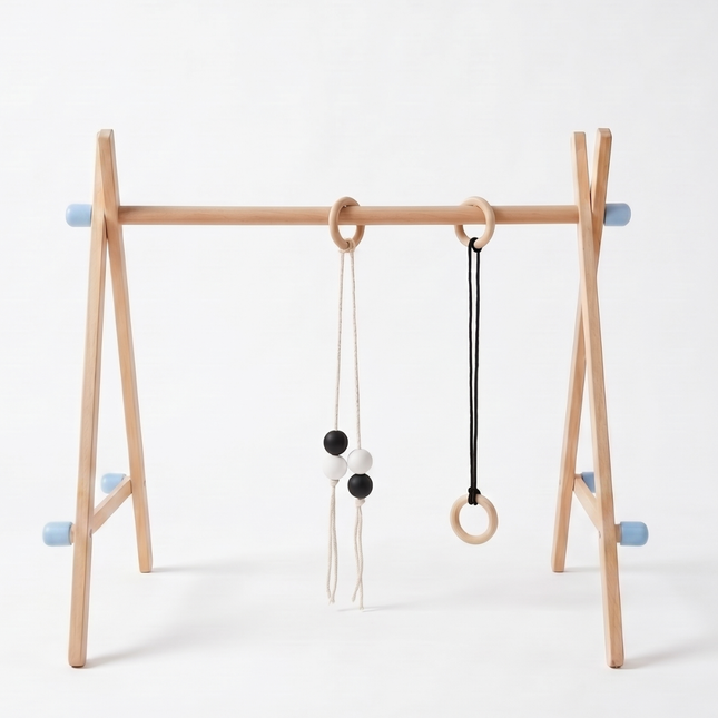 Baby Play Gym and Teether Combo
